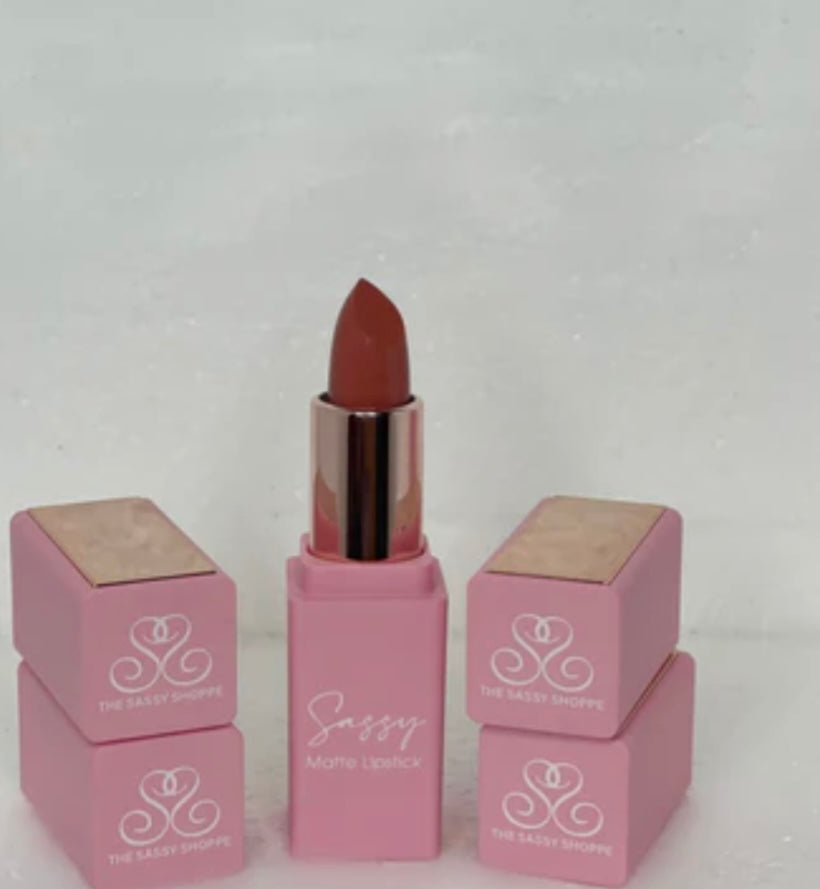 Velvet teddy matte lipstick